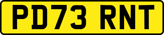 PD73RNT