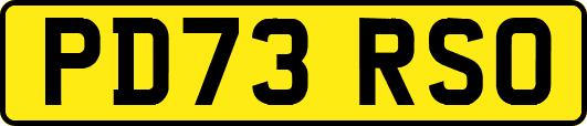 PD73RSO