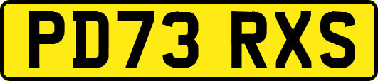 PD73RXS