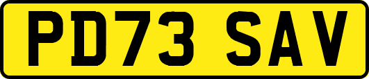 PD73SAV