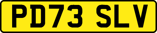 PD73SLV