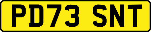 PD73SNT