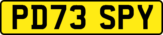PD73SPY
