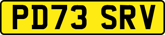 PD73SRV