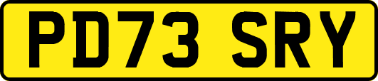 PD73SRY