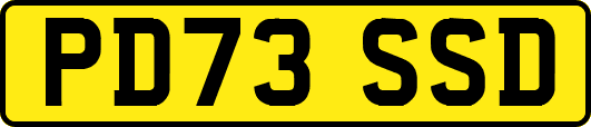 PD73SSD