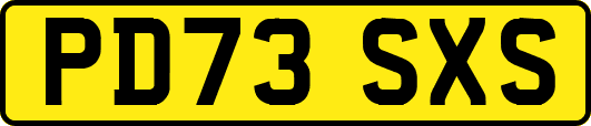 PD73SXS
