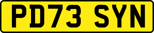 PD73SYN