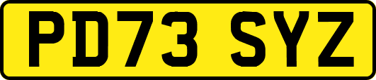 PD73SYZ