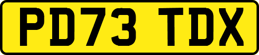 PD73TDX