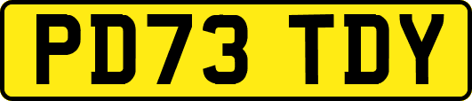 PD73TDY