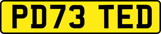 PD73TED