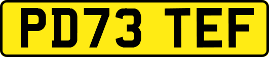 PD73TEF