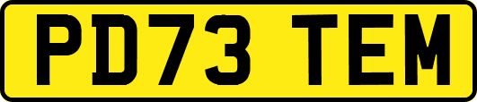 PD73TEM