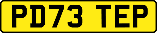 PD73TEP