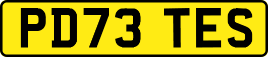 PD73TES