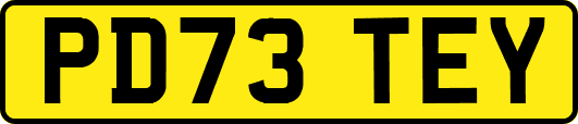 PD73TEY