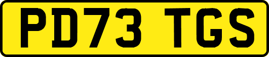 PD73TGS