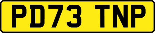 PD73TNP