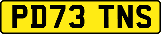 PD73TNS