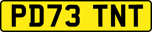 PD73TNT