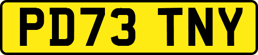 PD73TNY