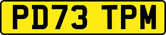 PD73TPM