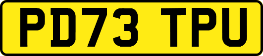 PD73TPU