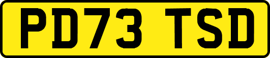 PD73TSD
