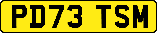 PD73TSM