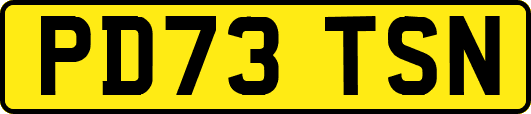 PD73TSN