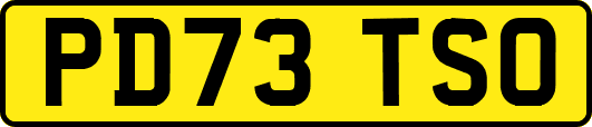 PD73TSO
