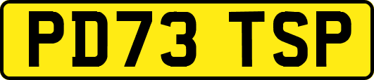 PD73TSP