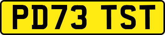 PD73TST