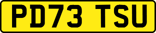 PD73TSU