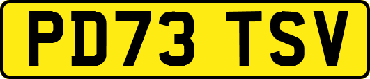 PD73TSV