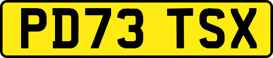 PD73TSX
