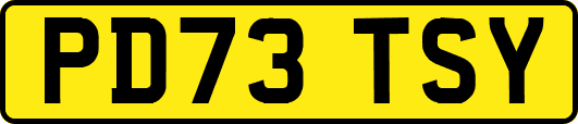 PD73TSY