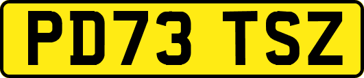 PD73TSZ