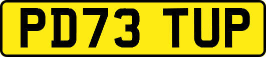 PD73TUP