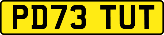 PD73TUT