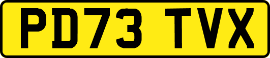 PD73TVX