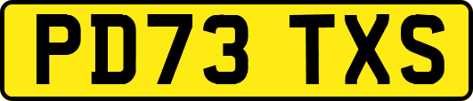 PD73TXS