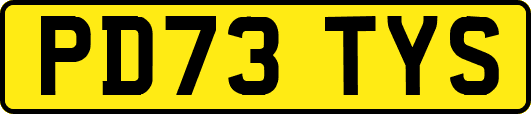 PD73TYS