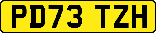 PD73TZH