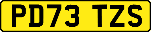 PD73TZS