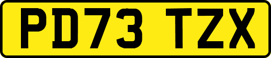 PD73TZX