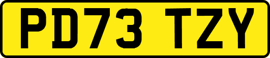 PD73TZY