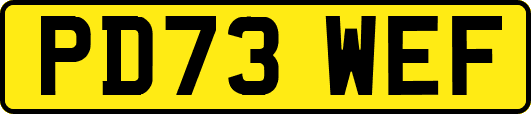PD73WEF