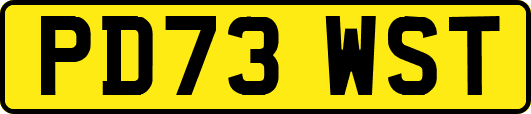 PD73WST
